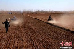 <b>“塞外粮仓”河套灌区春小麦开播 拉开内蒙古春</b>